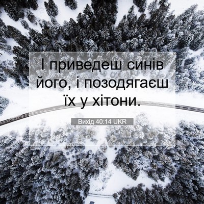 Picture 07 - Вихід 40:14 UKR - І приведеш синів його, і - Bible Verse Picture