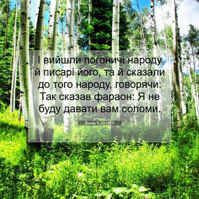 Picture 07 - Вихід 5:10 UKR - І вийшли погоничі народу й - Bible Verse Picture
