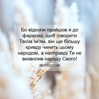 Picture 07 - Вихід 5:23 UKR - Бо відколи прийшов я до - Bible Verse Picture