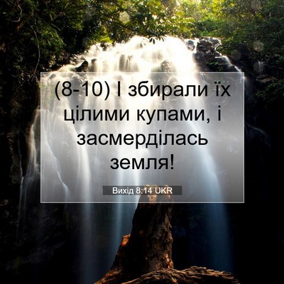 Picture 07 - Вихід 8:14 UKR - (8-10) І збирали їх цілими - Bible Verse Picture