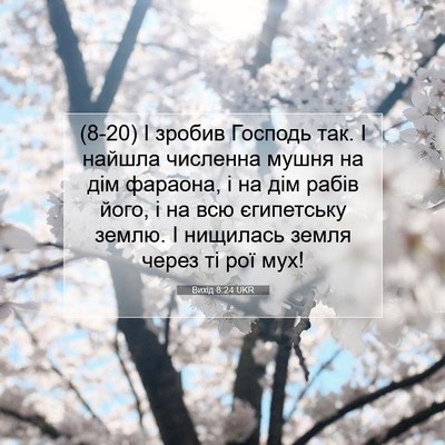 Picture 07 - Вихід 8:24 UKR - (8-20) І зробив Господь так. І - Bible Verse Picture