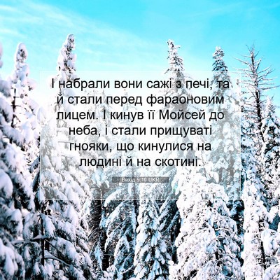 Picture 07 - Вихід 9:10 UKR - І набрали вони сажі з печі, - Bible Verse Picture