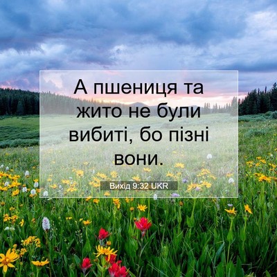 Picture 07 - Вихід 9:32 UKR - А пшениця та жито не були - Bible Verse Picture