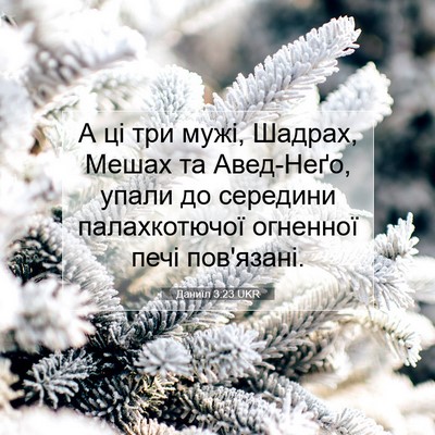 Picture 07 - Даниїл 3:23 UKR - А ці три мужі, Шадрах, Мешах - Bible Verse Picture