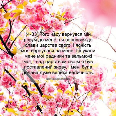 Picture 07 - Даниїл 4:36 UKR - (4-33) Того часу вернувся мій - Bible Verse Picture