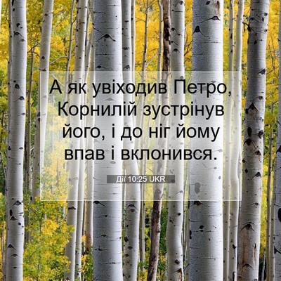 Picture 07 - Дії 10:25 UKR - А як увіходив Петро, - Bible Verse Picture