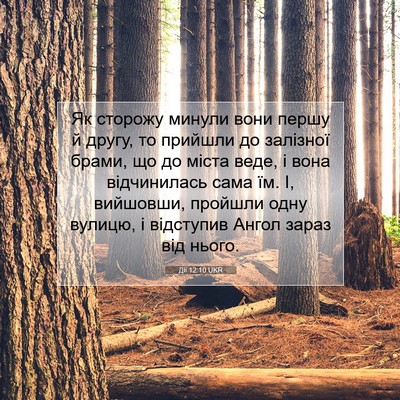 Picture 07 - Дії 12:10 UKR - Як сторожу минули вони - Bible Verse Picture