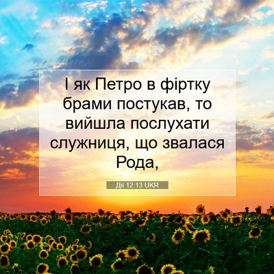 Picture 07 - Дії 12:13 UKR - І як Петро в фіртку брами - Bible Verse Picture