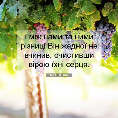 Picture 07 - Дії 15:9 UKR - і між нами та ними різниці - Bible Verse Picture