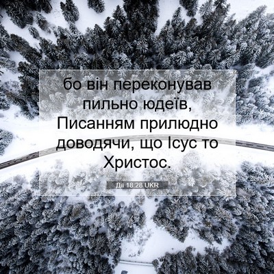 Picture 07 - Дії 18:28 UKR - бо він переконував пильно - Bible Verse Picture