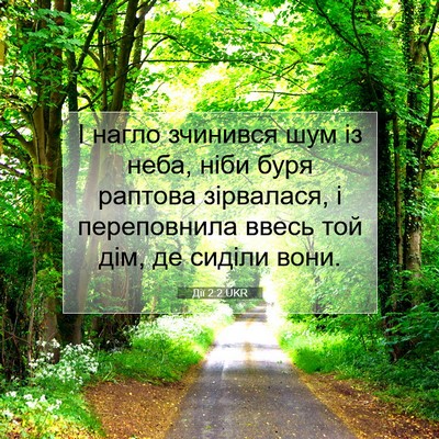 Picture 07 - Дії 2:2 UKR - І нагло зчинився шум із - Bible Verse Picture