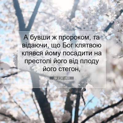 Picture 07 - Дії 2:30 UKR - А бувши ж пророком, та - Bible Verse Picture