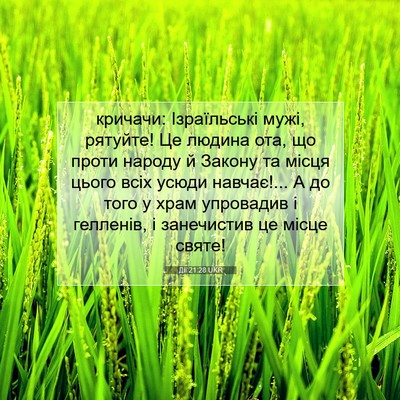 Picture 07 - Дії 21:28 UKR - кричачи: Ізраїльські мужі, - Bible Verse Picture