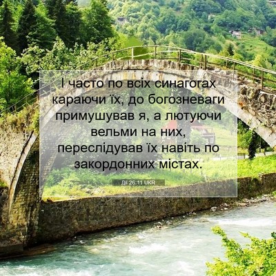 Picture 07 - Дії 26:11 UKR - І часто по всіх синагогах - Bible Verse Picture