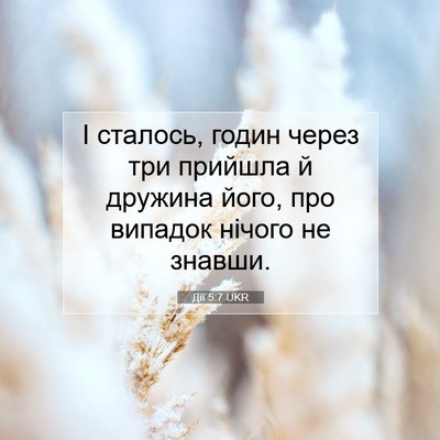 Picture 07 - Дії 5:7 UKR - І сталось, годин через три - Bible Verse Picture