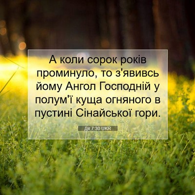 Picture 07 - Дії 7:30 UKR - А коли сорок років - Bible Verse Picture