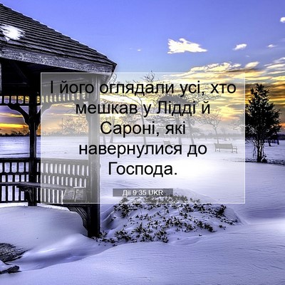 Picture 07 - Дії 9:35 UKR - І його оглядали усі, хто - Bible Verse Picture