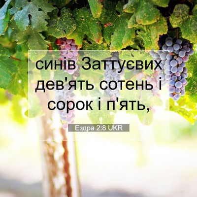 Picture 07 - Ездра 2:8 UKR - синів Заттуєвих дев'ять - Bible Verse Picture