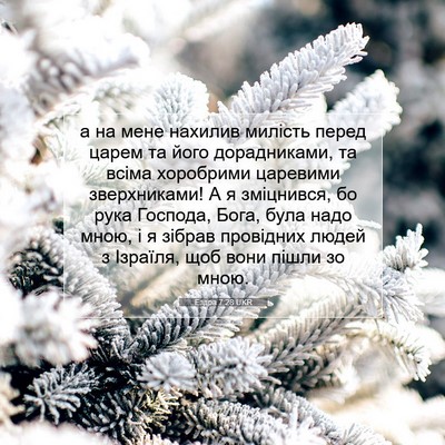 Picture 07 - Ездра 7:28 UKR - а на мене нахилив милість - Bible Verse Picture
