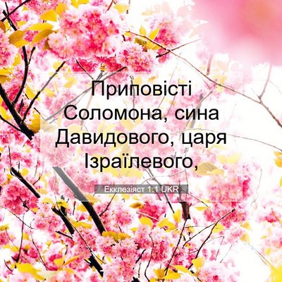 Picture 07 - Екклезіяст 1:1 UKR - Приповісті Соломона, сина - Bible Verse Picture
