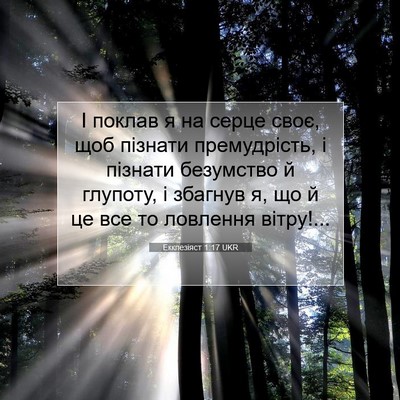 Picture 07 - Екклезіяст 1:17 UKR - І поклав я на серце своє, - Bible Verse Picture