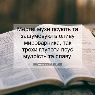 Picture 07 - Екклезіяст 10:1 UKR - Мертві мухи псують та - Bible Verse Picture