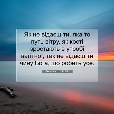 Picture 07 - Екклезіяст 11:5 UKR - Як не відаєш ти, яка то путь - Bible Verse Picture