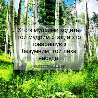 Picture 07 - Екклезіяст 13:20 UKR - Хто з мудрими ходить, той - Bible Verse Picture