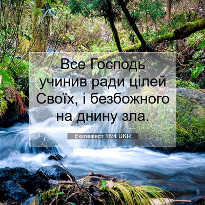 Picture 07 - Екклезіяст 16:4 UKR - Все Господь учинив ради - Bible Verse Picture