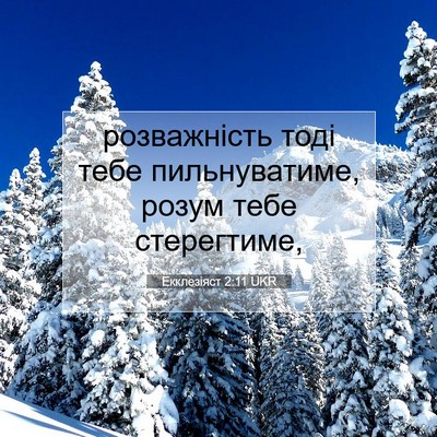 Picture 07 - Екклезіяст 2:11 UKR - розважність тоді тебе - Bible Verse Picture