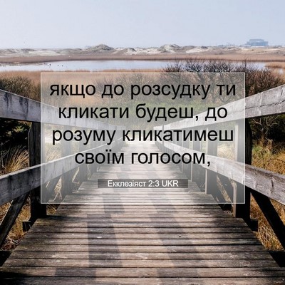 Picture 07 - Екклезіяст 2:3 UKR - якщо до розсудку ти - Bible Verse Picture