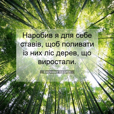 Picture 07 - Екклезіяст 2:6 UKR - Наробив я для себе ставів, - Bible Verse Picture