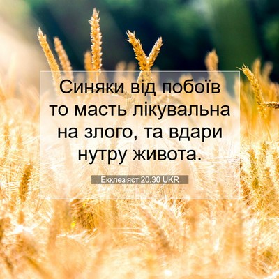 Picture 07 - Екклезіяст 20:30 UKR - Синяки від побоїв то масть - Bible Verse Picture