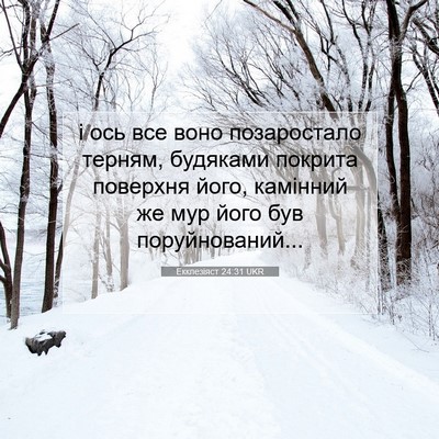 Picture 07 - Екклезіяст 24:31 UKR - і ось все воно позаростало - Bible Verse Picture