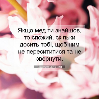 Picture 07 - Екклезіяст 25:16 UKR - Якщо мед ти знайшов, то - Bible Verse Picture