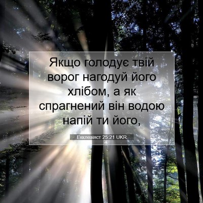 Picture 07 - Екклезіяст 25:21 UKR - Якщо голодує твій ворог - Bible Verse Picture