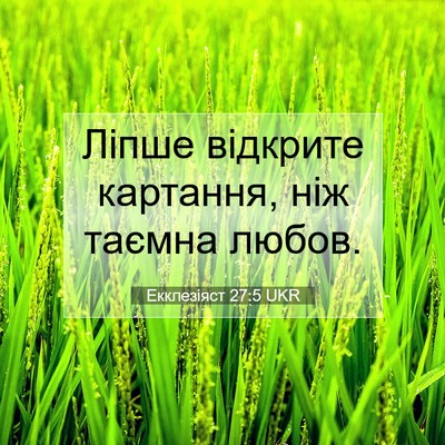 Picture 07 - Екклезіяст 27:5 UKR - Ліпше відкрите картання, - Bible Verse Picture
