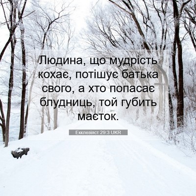 Picture 07 - Екклезіяст 29:3 UKR - Людина, що мудрість кохає, - Bible Verse Picture