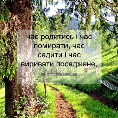 Picture 07 - Екклезіяст 3:2 UKR - час родитись і час - Bible Verse Picture
