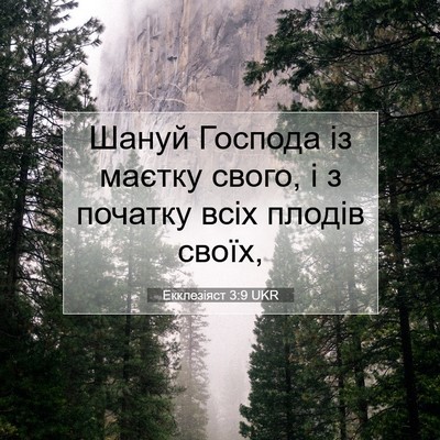 Picture 07 - Екклезіяст 3:9 UKR - Шануй Господа із маєтку - Bible Verse Picture