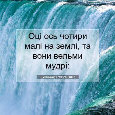 Picture 07 - Екклезіяст 30:24 UKR - Оці ось чотири малі на - Bible Verse Picture
