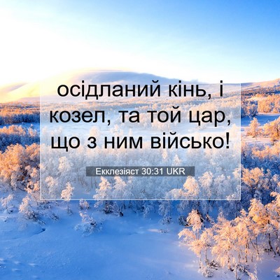 Picture 07 - Екклезіяст 30:31 UKR - осідланий кінь, і козел, та - Bible Verse Picture