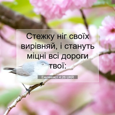Picture 07 - Екклезіяст 4:26 UKR - Стежку ніг своїх вирівняй, - Bible Verse Picture