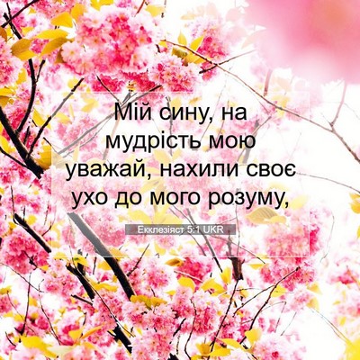 Picture 07 - Екклезіяст 5:1 UKR - Мій сину, на мудрість мою - Bible Verse Picture