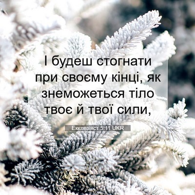 Picture 07 - Екклезіяст 5:11 UKR - І будеш стогнати при - Bible Verse Picture