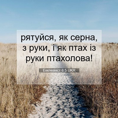 Picture 07 - Екклезіяст 6:5 UKR - рятуйся, як серна, з руки, і - Bible Verse Picture