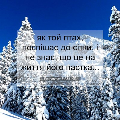 Picture 07 - Екклезіяст 7:23 UKR - як той птах, поспішає до - Bible Verse Picture