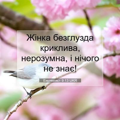 Picture 07 - Екклезіяст 9:13 UKR - Жінка безглузда криклива, - Bible Verse Picture