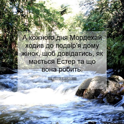 Picture 07 - Естер 2:11 UKR - А кожного дня Мордехай - Bible Verse Picture