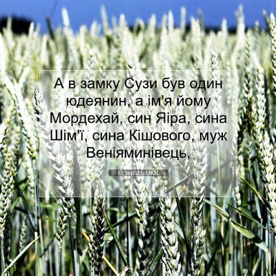 Picture 07 - Естер 2:5 UKR - А в замку Сузи був один - Bible Verse Picture